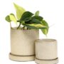 Minute Pot With Saucer – Chive – Ivory Speckles – 3″